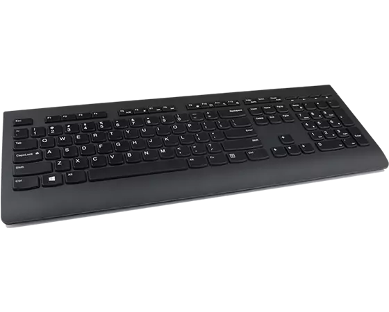 Lenovo Professional Wireless Keyboard and Mouse Combo